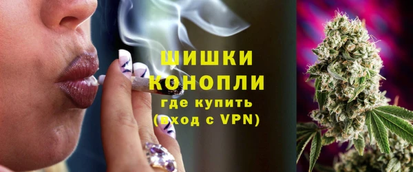 сатива Балабаново