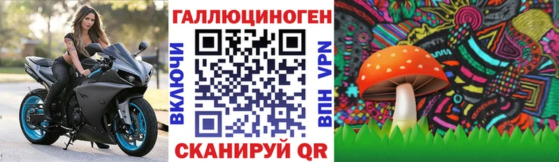 МЕГА маркетплейс  Гурьевск  Галлюциногенные грибы прущие грибы 